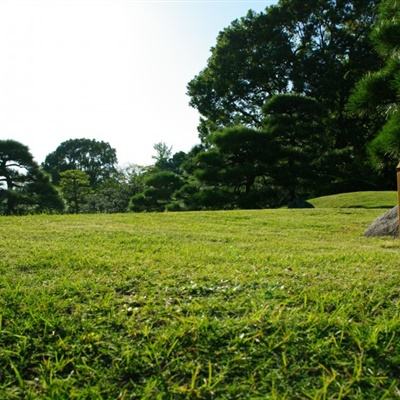 两部门印发两个《办法》规范智能化煤矿建设