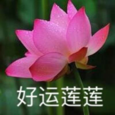 游客反映稻城亚丁因环保禁止泡面！景区通报：对经营企业停业整顿